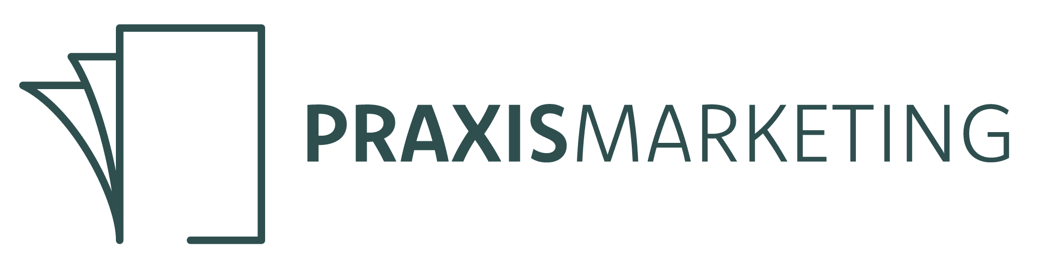 Der große Praxismarketing Ratgeber (Logo)